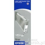 Epson T6069 (T5659) Wysokowydajny Tusz Light Light Black