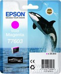 Epson T7603 Tusz do Epson SureColor SC-P600 Vivid Magenta VM C13T76034010